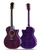 Taylor Special Edition 614ce - Super Limited - Trans Purple PRE ORDER