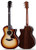 Taylor 414ce-R LTD Lily Vine Inlay Rosewood Back and Sides Shaded Edge Burst SUPER LIMITED PRE ORDER