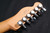 Fender Player Plus Telecaster - Maple Fingerboard - Butterscotch Blonde