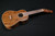 Fender Zuma Exotic Concert Ukulele - Walnut Fingerboard - Bocote - 474