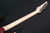 Ibanez RG421PBCHF 6 String RH Electric Guitar Standard Caribbean Shoreline Flat Finish rg-421-pb-chf 529