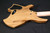 Ormsby Run 14 Goliath gtr shark limited edition USED 551