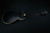 Ibanez AS73GBKF AS Artcore 6str Electric Guitar  - Black Flat 766