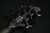 Ibanez BTB806MSTGF BTB Bass Workshop 6str Electric Bass w/Case Multi scale - Transparent Gray Flat 008