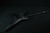 Ibanez XPTB620BKF Xiphos Iron Label 6str Electric Guitar w/Bag - Black Flat 276