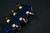 Taylor Special Edition 614ce - Super Limited - Pacific Blue  069