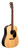 Martin D-X2E Brazilian with Gig Bag X Series Re-Imagined