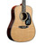 Martin D-50 CFM IV50th Anniversary Limited Edition Only 50 Made