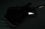Ibanez PS60SSL Paul Stanley Signature 6str Electric Guitar  - Black 365