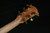 Cole Clark CCFL2EC-BLBL-HUM FL TRUE HYBRID Dreadnought, Blackwood Face back & sides, cutaway, Humbucker 789
