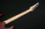 Ibanez RG421PBCHF RG Standard 6str Electric Guitar - Caribbean Shoreline Flat 059