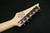 Ibanez RG421PBCHF RG Standard 6str Electric Guitar - Caribbean Shoreline Flat 061