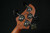 Ibanez Talman Bass Standard 4str Electric Bass - Iced Americano Burst - 284