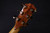 Taylor Custom GA Maple LIMITED In Stock Now 109