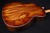 Taylor 214ce Plus Special Edition Ziricote Back and Sides 308
