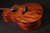 Taylor 50th Anniversary 924ce-K LTD & Circa 74 Amp LIMITED!