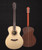 Furch Red G-SR Grand Auditorium Sitka Spruce Top Rosewood Back and Sides With Anthem Pickup
