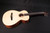 Taylor Academy Series A12eN GC Nylon with Gigbag - 287