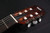 Taylor Academy Series A12eN GC Nylon with Gigbag - 287