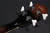 Ibanez AFB200TKS AFB Artcore 4-string Hollow body Bass - Transparent Black Sunburst - 458