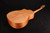 2025 NEW NECK Furch Pioneer-EM a Engelmann Spruce / African Mahogany with Case CNR SYSTEM ACTIVE 036