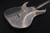 MINT Mayones Duvall Elite CUSTOM ORDER USED 675 / BLACK MINT Mayones Duvall Elite CUSTOM ORDER USED 675 / BLACK