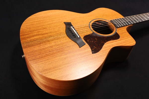 Taylor 24ce Mahogany Top with African Sapele Back and Sides with Fishman Pickup NEW PRODUCT 448