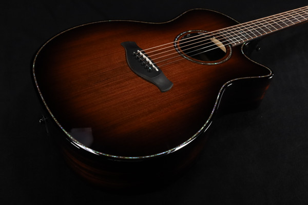 Taylor LIMITED EDITION Builder's Edition 914ce LTD Macassar Ebony with Hardcase 074