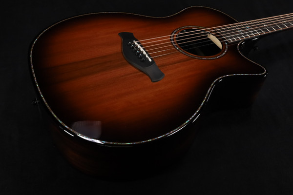 Taylor LIMITED EDITION Builder's Edition 914ce LTD Macassar Ebony with Hardcase 077