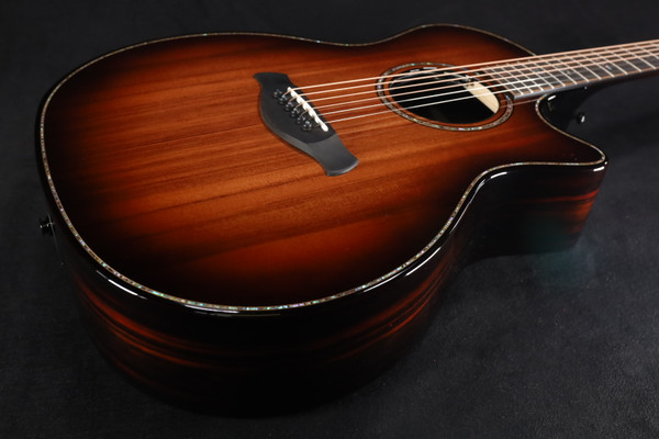 Taylor Builder's Edition 914ce LTD Macassar 083