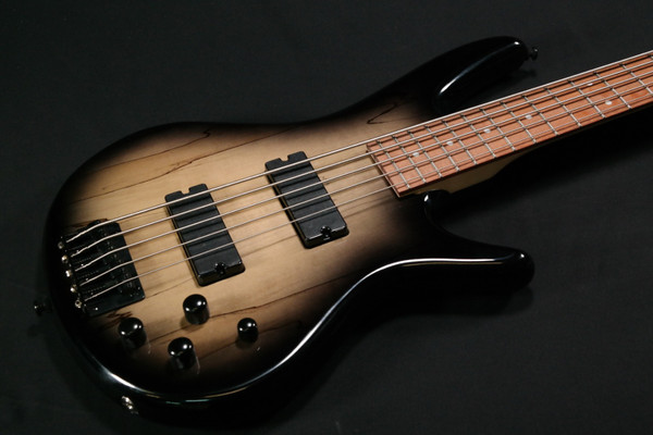 Ibanez GSR205SMNGT Soundgear Series GIO 5-String RH Electric Bass-Natural Gray Burst - 983