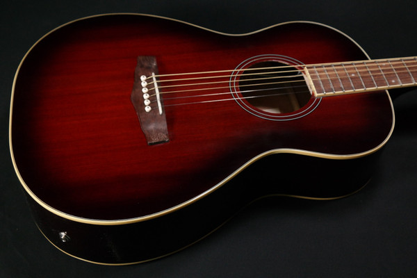 Ibanez PN12E Parlor Acoustic-Electric Guitar 341