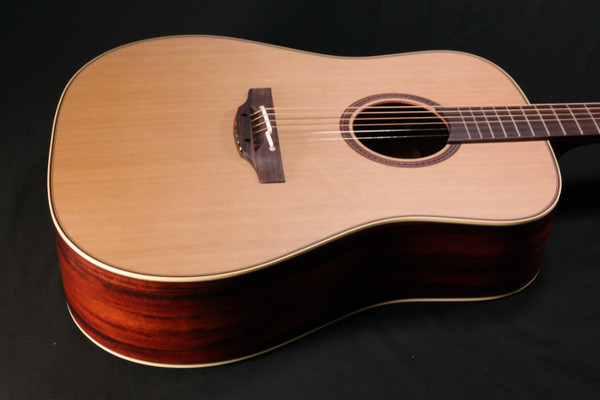Takamine FN15AR Limited Dreadnought Acoustic Guitar 355