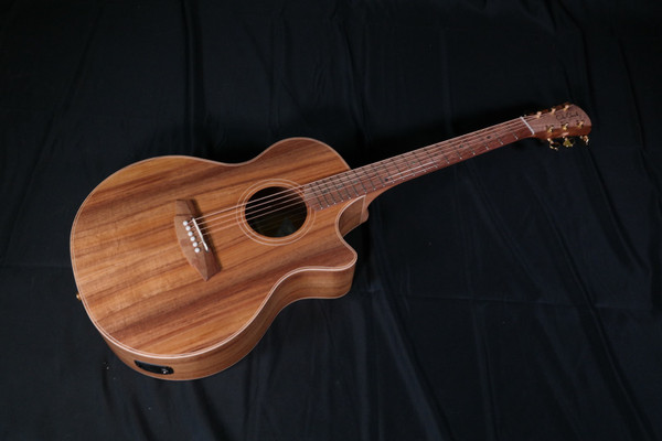 Cole Clark CCAN2EC-BLBL Angel 2 Australian Blackwood Acoustic-Electric Guitar - 052