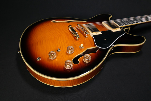 Ibanez JSM10 Jophn Scofield Signature Semi-hollow Electric Guitar with Case Vintage Yellow Sunburst 273