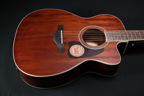 Ibanez AC340CEOPN Open Pore Natural 254