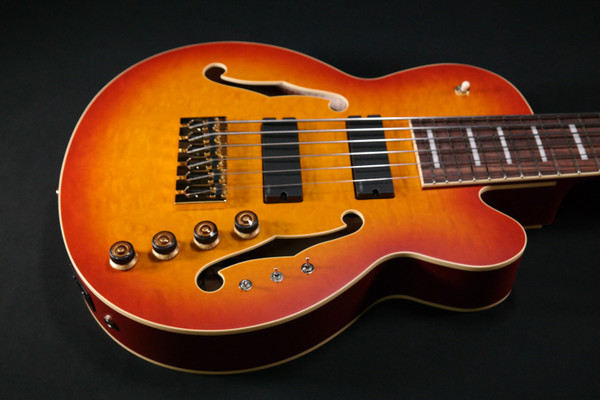 Ibanez TCB1006ALM Stephen ''Thundercat'' Bruner Signature 6str Electric Bass w/Case - Autumn Leaf Burst Matte 602