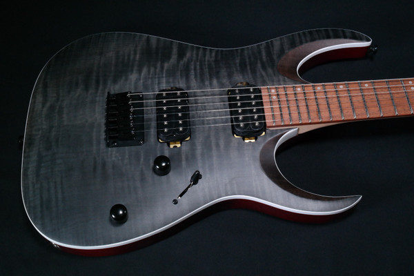 Ibanez RGA42FMTGF RGA Standard 6str Electric Guitar - Transparent Gray Flat 646