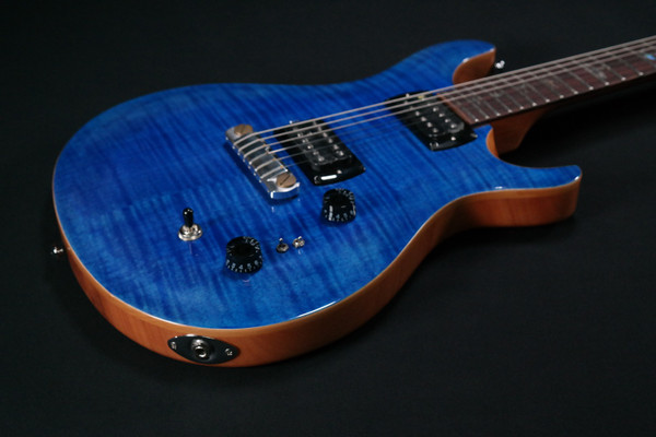 PRS Paul Reed Smith SE Paul's Guitar, Rosewood Fretboard,Faded Blue Burst 937