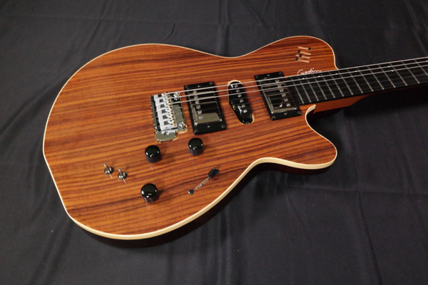 Godin xtSA Rosewood with Bag  - USED