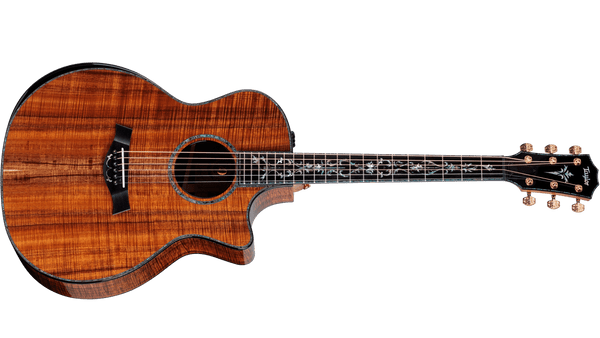 Taylor PS24ce-K LTD with Circa 74 Amp 50th Anniversary