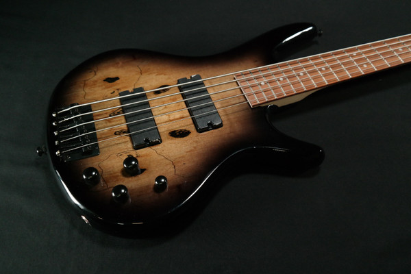 Ibanez GSR205SMNGT Gio SR 5str Electric Bass - Natural Gray Burst 503