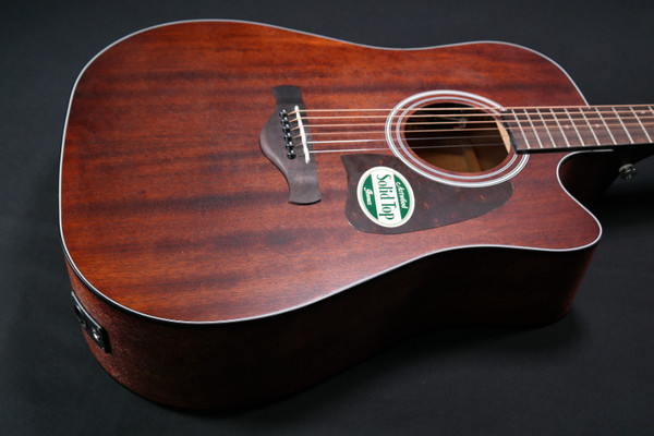Ibanez AW54CEOPN Open Pore Natural 054