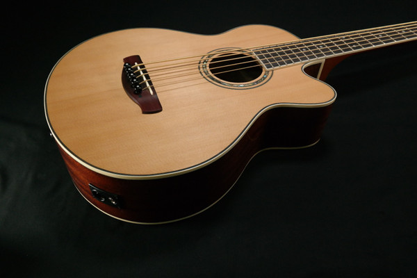 Ibanez AEB105ENT Natural High Gloss 945