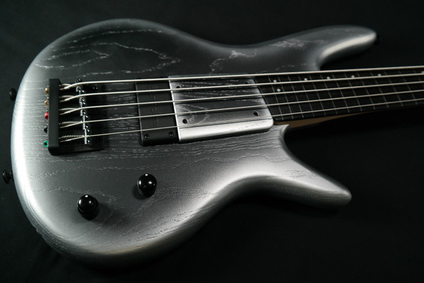 Ibanez Gary Willis Signature 5str Electric Bass w/Bag - Silver Wave Burst Flat - 811