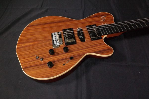 Godin xtSA 042067F Limited Edition Rosewood with Bag - Used - 175