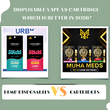 Disposable Vape vs Cartridge – Which is Better in 2026?
