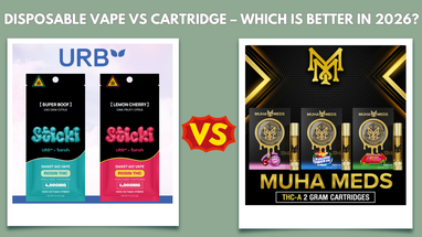 Disposable Vape vs Cartridge – Which is Better in 2026?