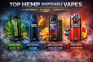 Best Hemp Disposable Vape Comparison (2026 Guide)