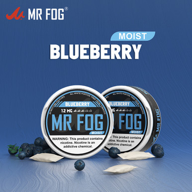 MR FOG NICOTINE POUCHES 12MG - 20CT PACK